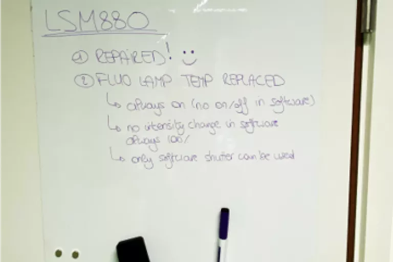 Whiteboard